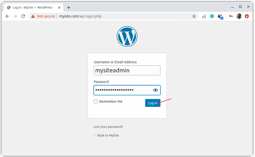 Entering login information for WordPress