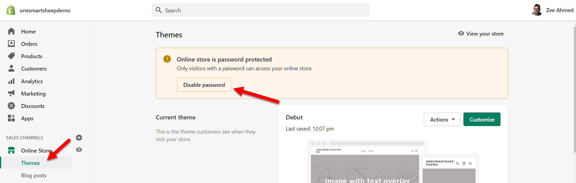 Shopify disable password