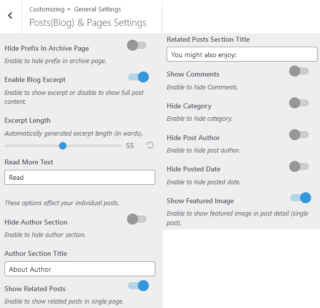 Blossom travel theme posts and pages settings 