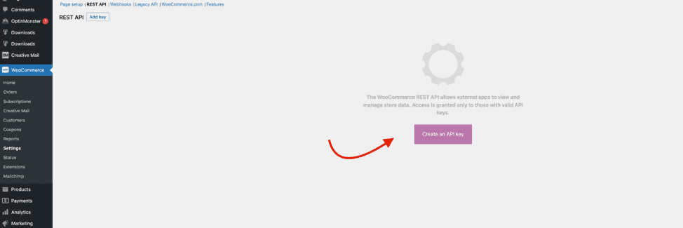WordPress option create an API key