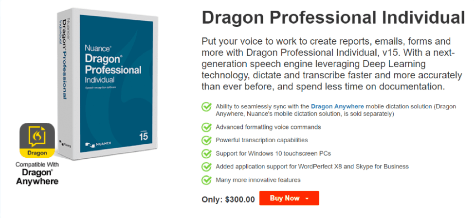 Dragon professional individual