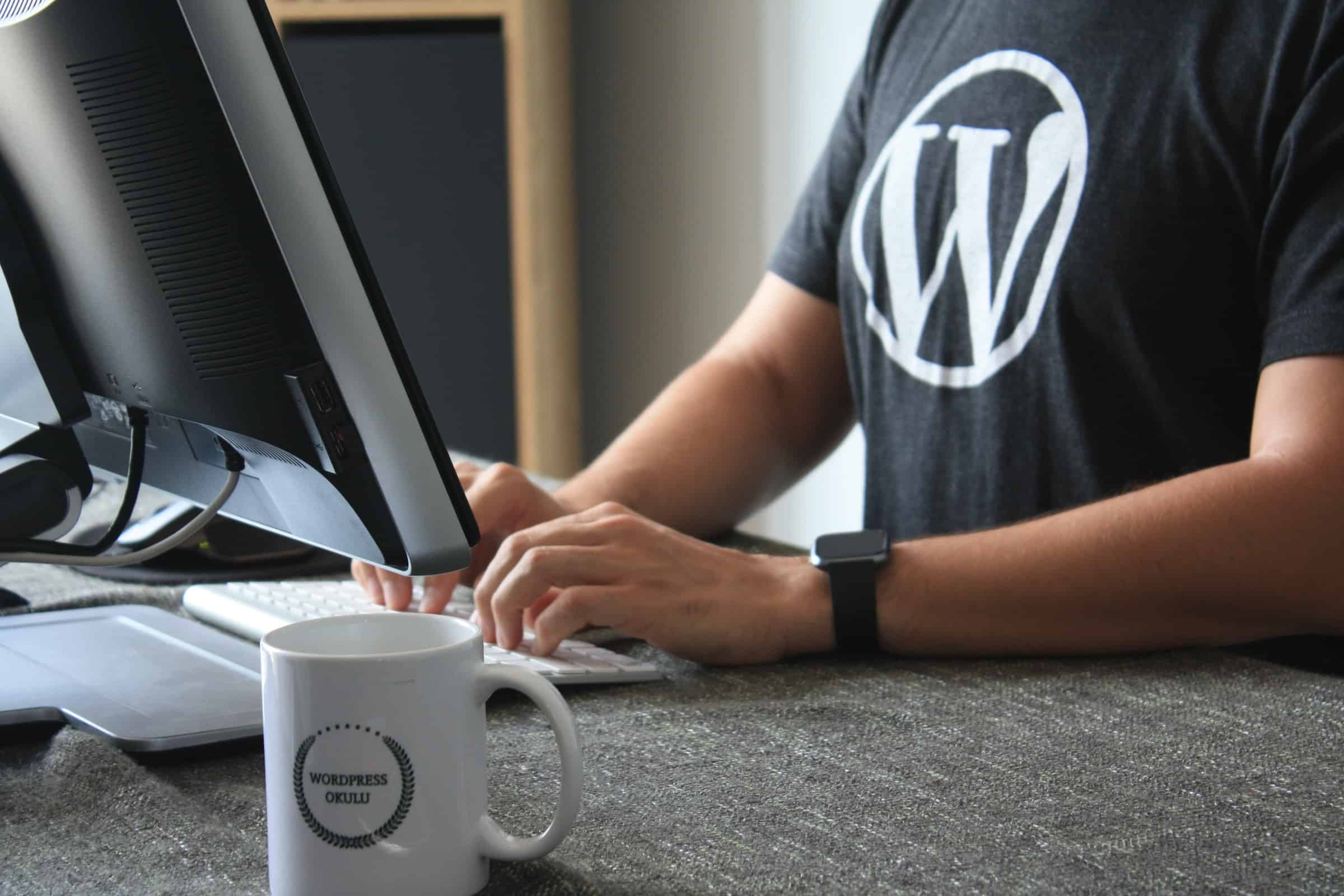 WordPress developer 