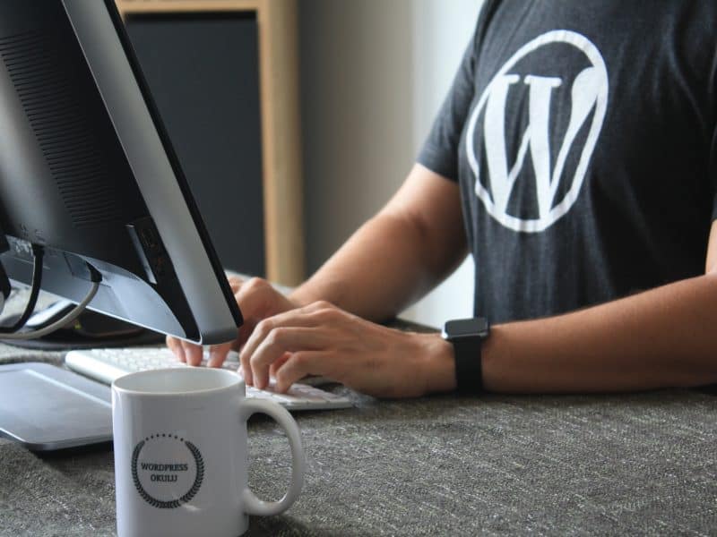 WordPress developer