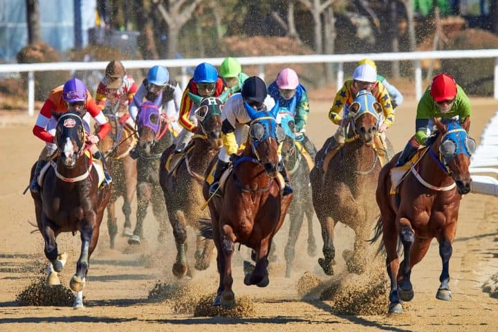 Horse racing