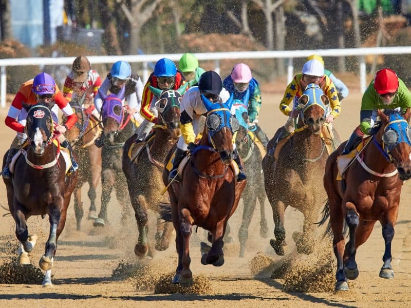 Horse racing