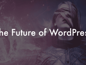 The Future of WordPress Themes: Trends to Watch in 2024