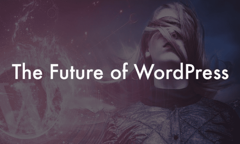 The Future of WordPress Themes: Trends to Watch in 2024