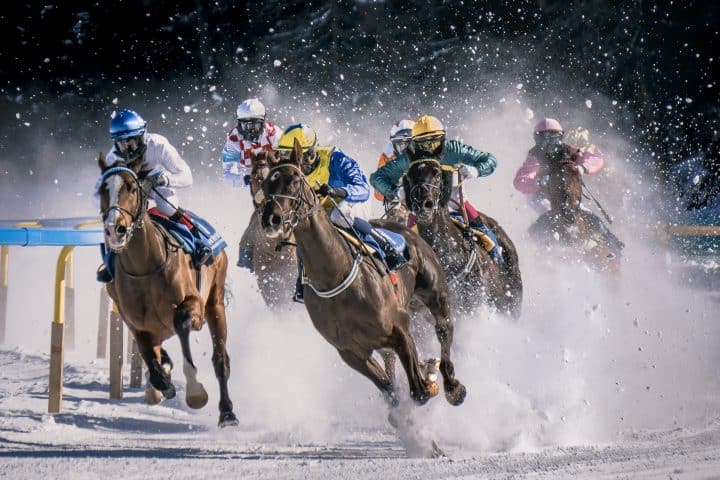 The Social Horse: How Social Media is Changing the Horse Racing Landscape