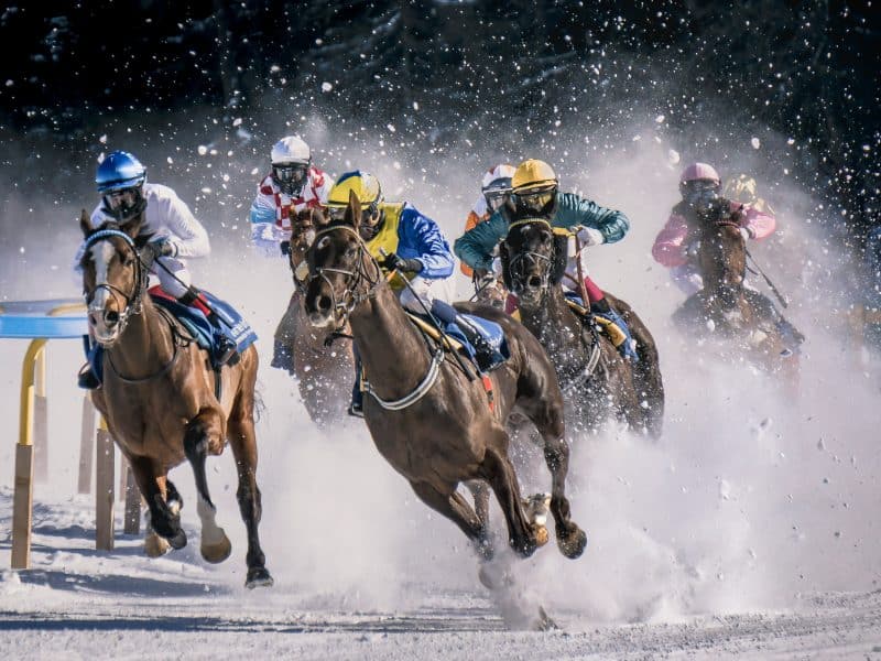 The Social Horse: How Social Media is Changing the Horse Racing Landscape