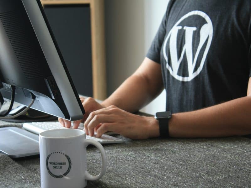 Wordpress developer