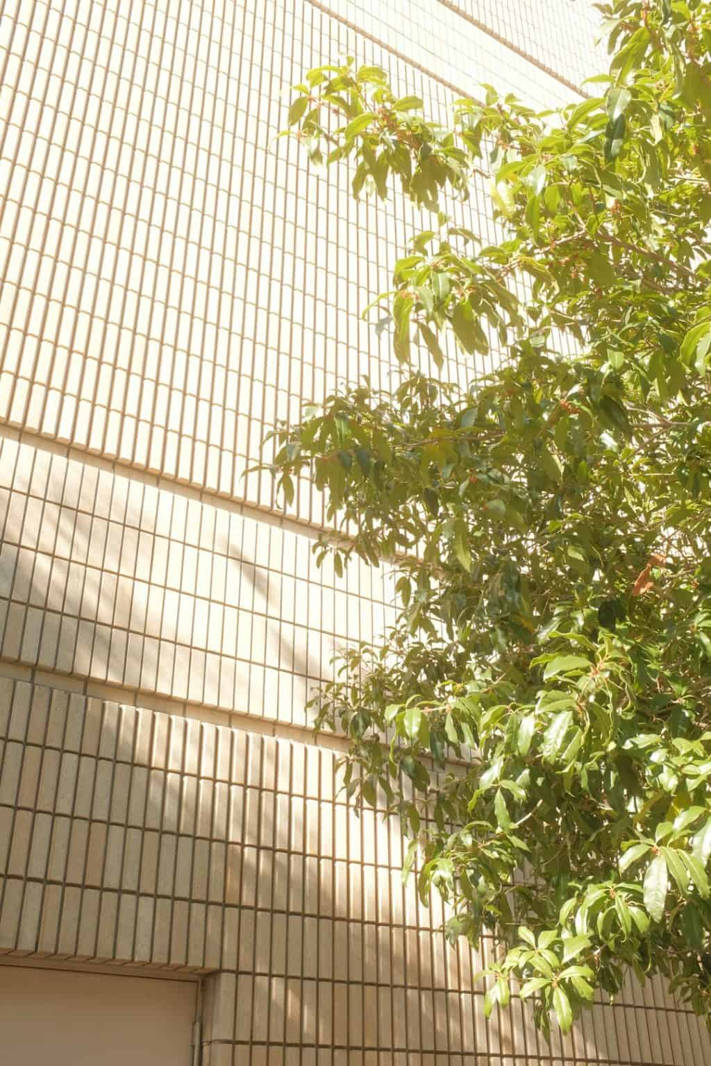Solar & Location: Microclimates, Roof Geometry, and Shade Mapping - WP ...